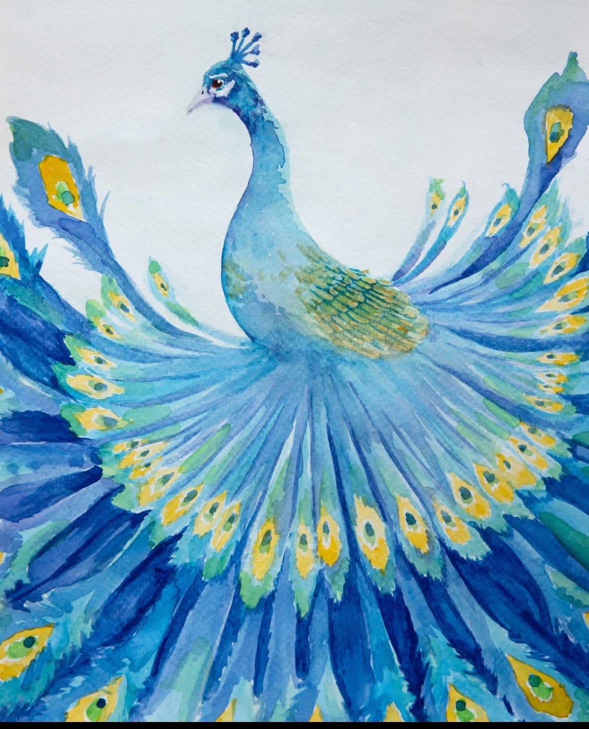 Watercolor painting of a blue peacock displaying its fanned tail feathers with yellow eyespots.